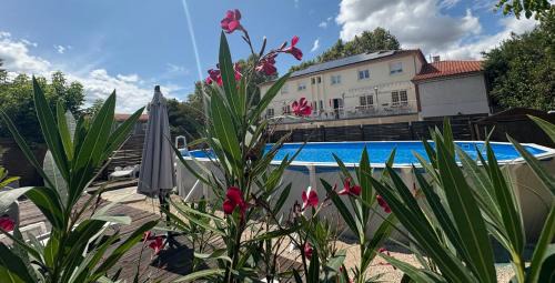 Lamagistere Hotel | Pet-Friendly Auberge de Lamagistere with Ocean View Pool