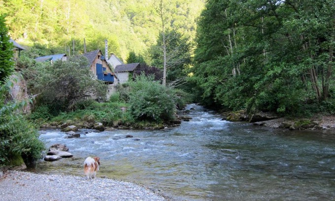 Seix Hotel | Pet-Friendly Auberge des Deux Rivières with Ocean Views