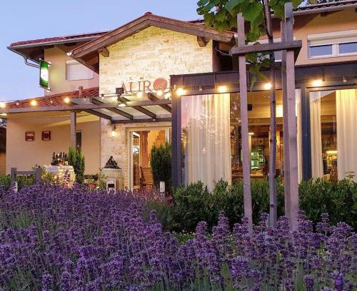 Bukfurdo Bed & Breakfast | Discover Aurora Panzió: Pet-Friendly Retreat with Top Ratings