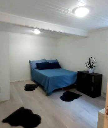 Tromso House | Unforgettable Aurora Rooms with Unique Trip Experiences