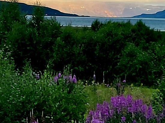 Tana House | Discover Austertanakrystallen: Oceanfront Pet-Friendly Retreat