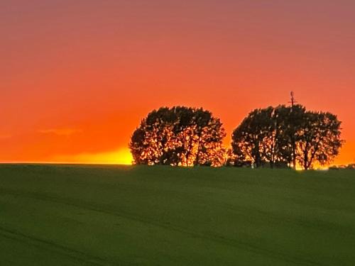 Dahmen House | Relaxing Retreat at Auszeit am See - Pet & Child Friendly