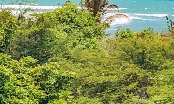 Bull Bay House | Discover an Authentic Jamaican Experience with Spa & Hot Tub