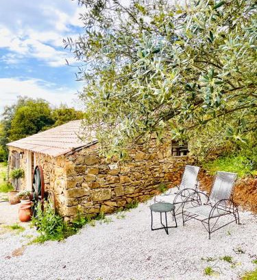 Le Beausset Bed & Breakfast | Authentique bergerie en pierre avec jacuzzi piscine et massages La grange des amoureux