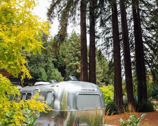Guerneville Hotel | Discover AutoCamp Russian River: Family-Friendly Escape