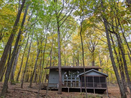 Berkeley Springs House | Guest Rated 10/10: Autumn Wings - A Natural Retreat Awaits