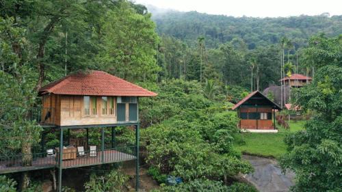 Kalpetta Resort | Explore Avadale Wayanad: Family-Friendly with Pool & Dining