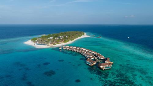 Baa Atoll Resort | Experience Avani Plus Fares Maldives: Beachfront Bliss Awaits