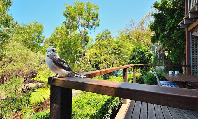 Sunshine Beach Apartment | Award-winning private peaceful for couples mins to beach National Park & village