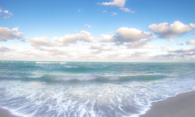 Jupiter House | Prime Location with Ocean Views and Top Guest Ratings