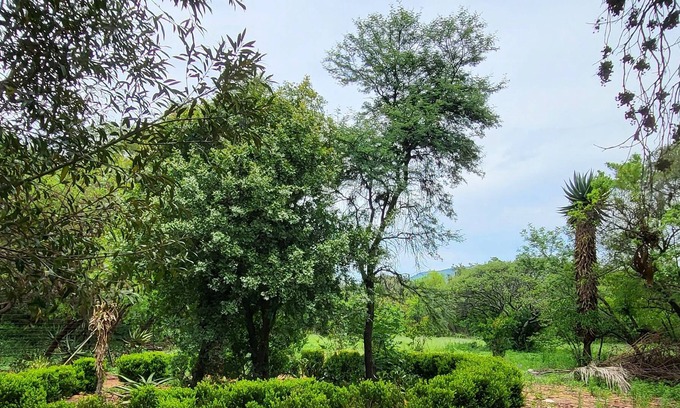 Pretoria Other | Awoken House of Consciousness - Peaceful & tranquil, curated for wellnes & rest.