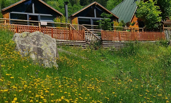 Ayder Yaylasi Ski Chalet | Cozy Ayder Yayla Bungalov: Pet-Friendly Retreat
