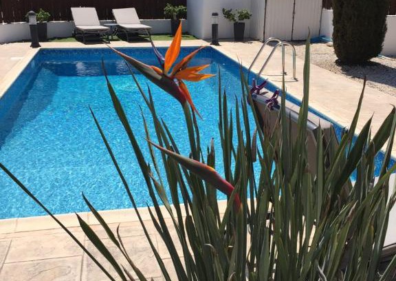 Ayia Thekla Villa | Oceanfront Ayia Thekla Beach House with Private Pool