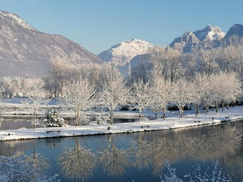 Belluno House | Discover Az. Agr. Sponga Giancarlo: Pet-Friendly Retreat