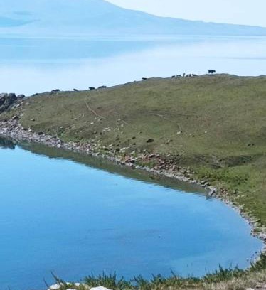 Naryn Region House | Aziskan guest House, and riding horse Son-Kol