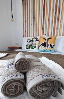 Mosteiros Apartment | Discover the Azure Loft: Family & Pet-Friendly Getaway