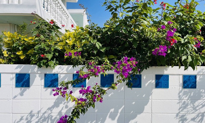 Ueno Apartment | Discover AZZURRA: Pet-Friendly 4-Star Retreat with Dining
