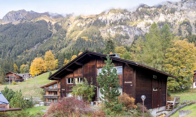 Wengen Apartment | Pet-Friendly Bärnermutz with Lake View and Spa Amenities