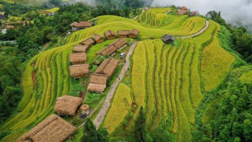 Thong Nguyen Cabin | Inviting Bình Minh Homestay: Pet-Friendly with Pool & Breakfast