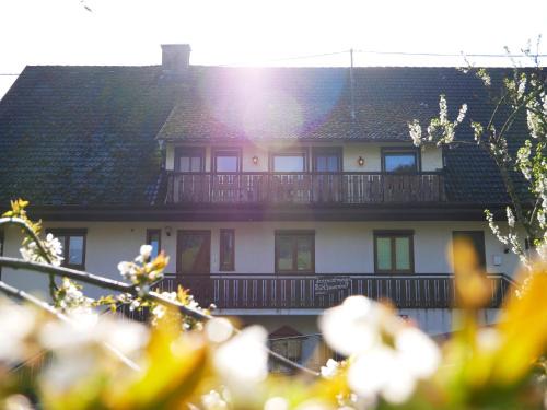 Bad Peterstal-Griesbach House | Pet-Friendly Bühlbauernhof with Exceptional Guest Reviews