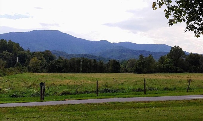 Luray House | Pet-Friendly B And A Lake Cottage: Perfect Family Retreat