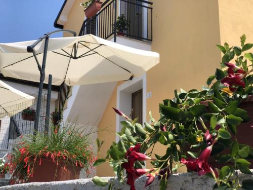 Paola Bed & Breakfast | Guest Rated 9/10: Ocean View B&B Adele with Breakfast