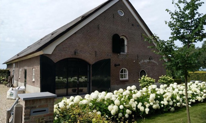Overasselt Bed & Breakfast | Family-Friendly B&B Agnetenhoeve with Stellar 9.3/10 Rating