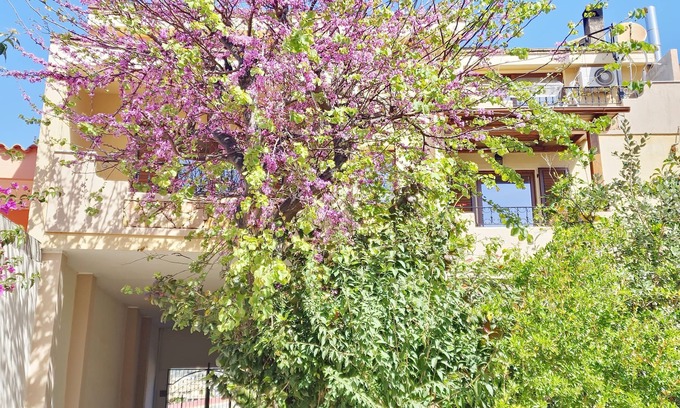 Villasimius Bed & Breakfast | Cozy B&B Ametista: Spa Retreat with Delicious Breakfast