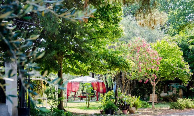 Policoro House | Discover B&B Apricot: Pet-Friendly Getaway with Breakfast