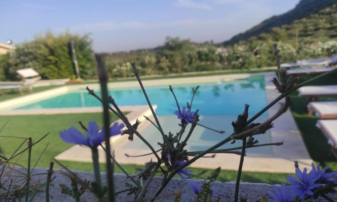 Ossi House | Exceptional B&B Badde Tale with Oceanfront Pool Views