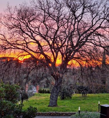 Monte Porzio Catone Bed & Breakfast | Pet-Friendly Retreat: B&B Bee with Exceptional 9.1/10 Rating