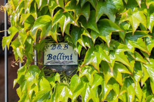 Fornazzo Bed & Breakfast | Top Rated B&B Bellini with Pool and Family Amenities