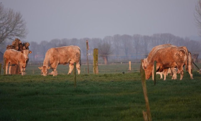 Steenderen Bed & Breakfast | Oceanfront B&B Bij Bronckhorst with Breakfast & High Guest Rating