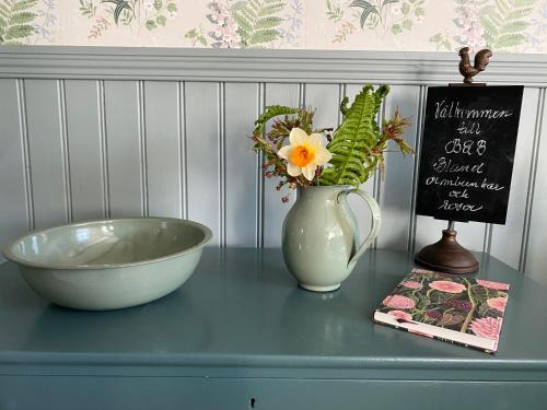 Falkenberg Bed & Breakfast | Discover B&B Bland Ormbunkar Och Rosor: Pet-Friendly Retreat