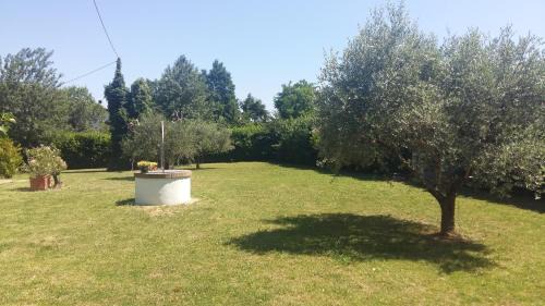 Quartiere Oltre Savio Bed & Breakfast | Pet-Friendly Retreat at B&B Borgo del Priolo with Ocean Views