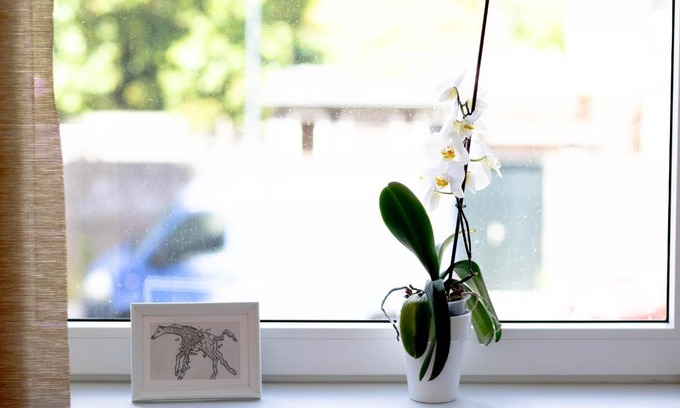 Haarlem Bed & Breakfast | Top-Rated B&B Brouwersvaart with Child-Friendly Amenities
