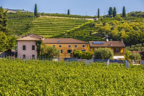 Gargagnago di Valpolicella Bed & Breakfast | Pet-Friendly Retreat at B&B Ca' Bernai - Rated 9.8/10