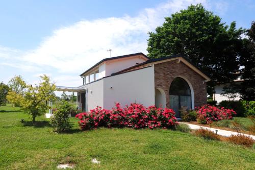 Falze Bed & Breakfast | Discover Ca' del Portego: Pet-Friendly Paradise Rated 10/10