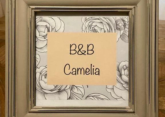 Citta di Castello Bed & Breakfast | Discover B&B Camelia: Guest Rated 9/10 for Comfort