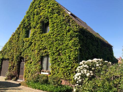Lochristi Bed & Breakfast | Inviting B&B Carisma: Guest Rated 9/10 with Breakfast Included