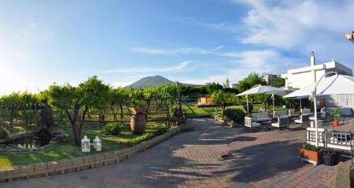 Trecase Bed & Breakfast | Pet-Friendly Retreat at B&B Casa di Donna, Rated 8.7/10