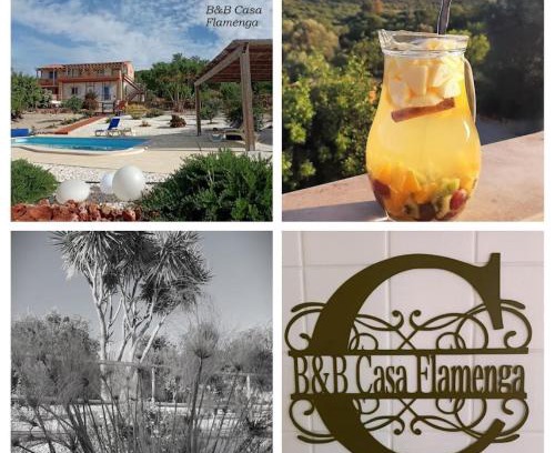 Loule Bed & Breakfast | Oceanfront B&B Casa Flamenga with Pool & Breakfast Included