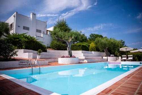 Centola Bed & Breakfast | Pet-Friendly B&B Casabianca with Oceanfront Pool & Breakfast