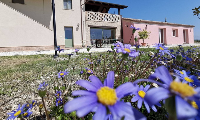Loreto Bed & Breakfast | B&B Ceresà Room "Durone della Marca"
