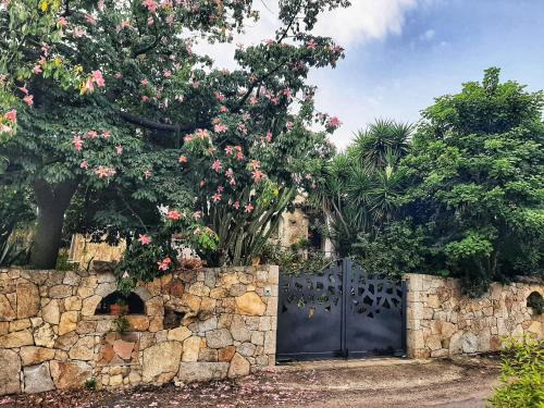 Schifoni Bed & Breakfast | Pet-Friendly B&B Chorisia with 9.4/10 Guest Rating