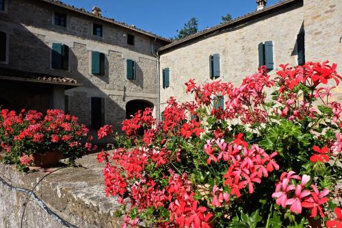 Neviano degli Arduini Apartment | Relaxing Stay at B&B Cortebonomini with Pool & Pet-Friendly