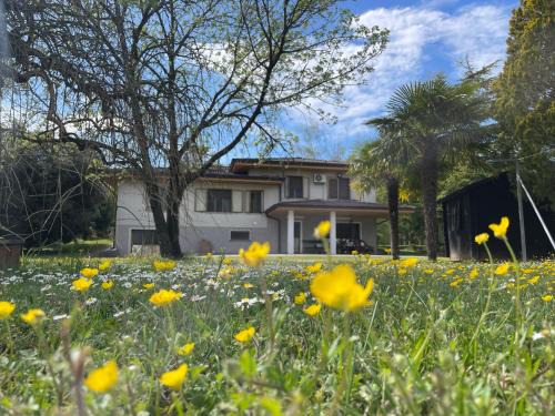 Rivarotta Bed & Breakfast | Discover B&B Da Leone: Oceanfront Oasis with Pool & Hot Tub