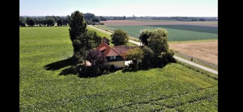 Klaaswaal Bed & Breakfast | Comfort at B&B de Danser: Breakfast & Family Friendly