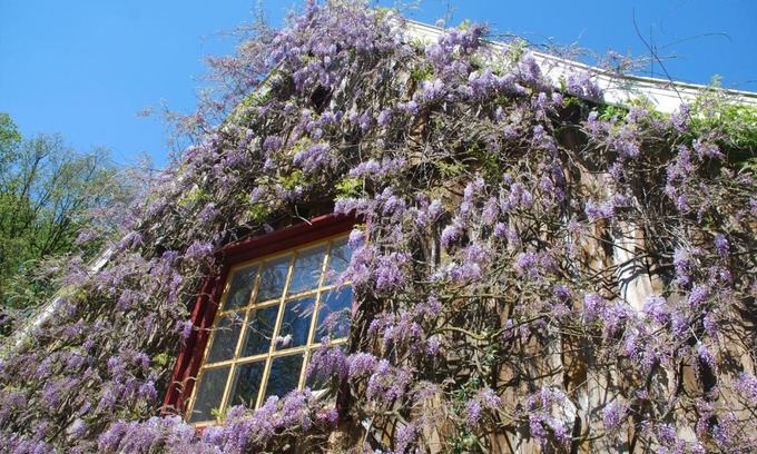 Boekelo Bed & Breakfast | Oceanfront Retreat: B&B De Hagmolenbeek, Rated 9.7/10