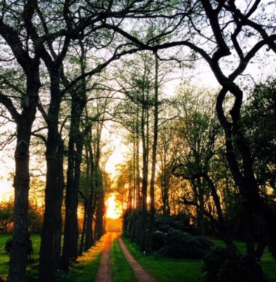Ureterp Bed & Breakfast | Pet-Friendly Comfort at B&B De Mersken – Rated 9/10!